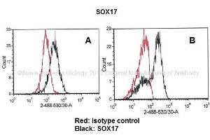 Researcher: Dr. (SOX17 antibody  (Middle Region))