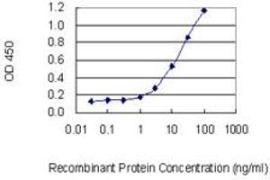 Detection limit for recombinant GST tagged IL26 is 0. (IL-26 antibody  (AA 74-171))
