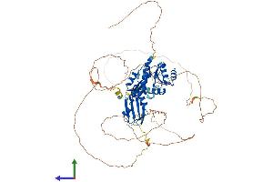 AlphaFold protein structure predicition of Mouse Recombinant Raver2 Protein, UniprotID Q7TPD6