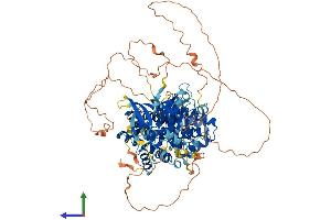 AlphaFold protein structure predicition of Human Recombinant PIK3R5 Protein, UniprotID Q8WYR1 (PIK3R5 Protein (AA 1-880) (His tag))