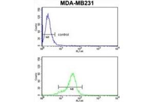 Flow Cytometry (FACS) image for anti-1-Acylglycerol-3-Phosphate O-Acyltransferase 4 (AGPAT4) antibody (ABIN3003878) (AGPAT4 antibody)