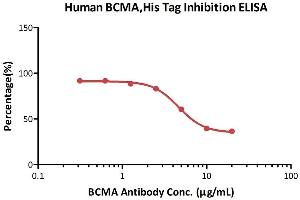 Immobilized Human BCMA, His Tag (ABIN4949075,ABIN4949076) at 2 μg/mL (100 μL/well) can bind  increasing concentrations of A MAb (Mouse IgG1) and 0. (TNFSF13 Protein (AA 105-250) (Fc Tag,AVI tag,Biotin))
