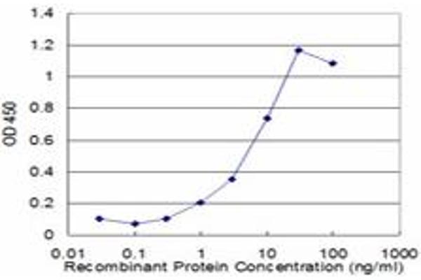 PGAM1 antibody  (AA 1-254)
