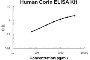 Human Corin PicoKine ELISA Kit standard curve (Corin ELISA Kit)