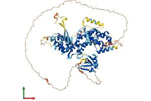 AlphaFold protein structure predicition of Human Recombinant RGL1 Protein, UniprotID Q9NZL6