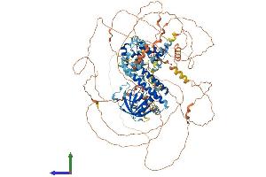 AlphaFold protein structure predicition of Human Recombinant PSD Protein, UniprotID A5PKW4 (PSD Protein (AA 1-1024) (His tag))
