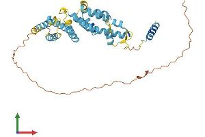 AlphaFold protein structure predicition of Human Recombinant PSMD8 Protein, UniprotID P48556