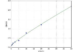 A typical standard curve