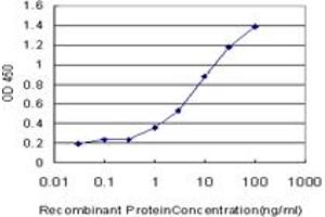 Detection limit for recombinant GST tagged FBL is approximately 0. (Fibrillarin antibody  (AA 1-321))