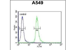 GNAT3 Antibody (Center) (ABIN654441 and ABIN2844175) flow cytometric analysis of A549 cells (right histogram) compared to a negative control cell (left histogram). (GNAT3 antibody  (AA 78-105))