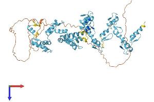 AlphaFold protein structure predicition of Human Recombinant ZNF44 Protein, UniprotID P15621 (Zinc Finger Protein 44 Protein (ZNF44) (AA 1-663) (His tag))