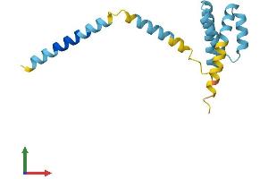 AlphaFold protein structure predicition of Mouse Recombinant Tomm20 Protein, UniprotID Q9DCC8