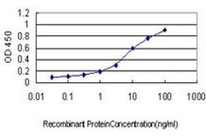 Detection limit for recombinant GST tagged GUCY2D is approximately 0. (GUCY2D antibody  (AA 521-630))