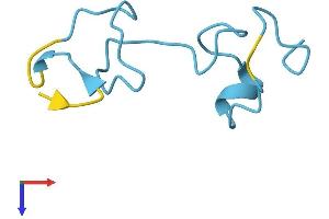 AlphaFold protein structure predicition of Human Recombinant MT1F Protein, UniprotID P04733 (MT1F Protein (AA 1-61) (Fc Tag))
