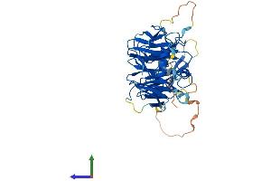 AlphaFold protein structure predicition of Mouse Recombinant Itfg2 Protein, UniprotID Q91WI7 (ITFG2 Protein (AA 1-443) (His tag))