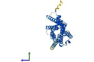 AlphaFold protein structure predicition of Human Recombinant ADORA1 Protein, UniprotID P30542 (ADORA1 Protein (AA 1-326) (His tag))
