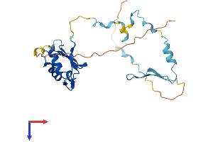 RCAN3 Protein (AA 1-239) (His tag)