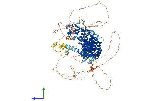 Protein Structure (PS) image for SAPS Domain Family, Member 2 (SAPS2) (AA 1-923) protein (His tag) (ABIN7564705)