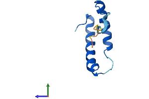 Protein Structure (PS) image for TP53 Regulated Inhibitor of Apoptosis 1 (TRIAP1) (AA 1-76) protein (Fc Tag) (ABIN7544685)