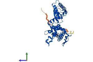 AlphaFold protein structure predicition of Human Recombinant ILF2 Protein, UniprotID Q12905