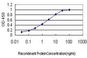 Detection limit for recombinant GST tagged CAND1 is approximately 0. (CAND1 antibody  (AA 1-100))