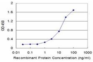 Detection limit for recombinant GST tagged ACVR2B is approximately 1ng/ml as a capture antibody. (ACVR2B antibody  (AA 21-120))