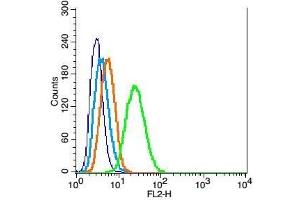 RSC96 cells probed with E2F5 Polyclonal Antibody, Unconjugated  at 1:100 for 30 minutes followed by incubation with a conjugated secondary (PE Conjugated) (green) for 30 minutes compared to control cells (blue), secondary only (light blue) and isotype control (orange).