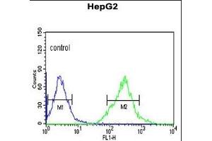 AFMID Antibody (N-term) (ABIN653122 and ABIN2842702) flow cytometric analysis of HepG2 cells (right histogram) compared to a negative control cell (left histogram). (AFMID antibody  (N-Term))