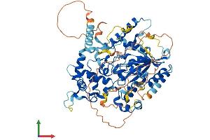 Protein Structure (PS) image for Guanine Nucleotide Binding Protein Like Protein 1 (GNL1) (AA 1-607) protein (His tag) (ABIN7563197)
