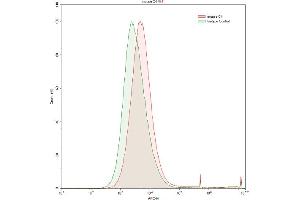 Detection of C4 in HepG2 human hepatocellular carcinoma cell line using Polyclonal Antibody to Complement Component 4 (C4) (Complement C4 antibody  (AA 1450-1723))
