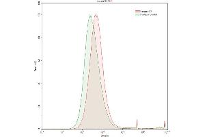 Detection of C4 in HepG2 human hepatocellular carcinoma cell line using Polyclonal Antibody to Complement Component 4 (C4)