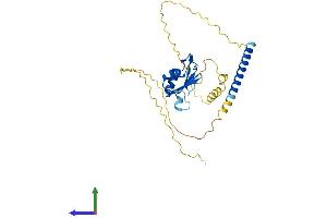 AlphaFold protein structure predicition of Human Recombinant HNRNPCL2 Protein, UniprotID B2RXH8 (HNRNPCL2 Protein (AA 1-293) (His tag))
