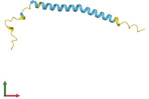Protein Structure (PS) image for Prion Protein (PRNP) (AA 1-73) protein (Fc Tag) (ABIN7552297)
