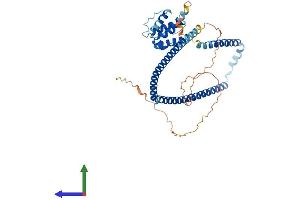 AlphaFold protein structure predicition of Human Recombinant CLUAP1 Protein, UniprotID Q96AJ1 (CLUAP1 Protein (AA 1-413) (His tag))