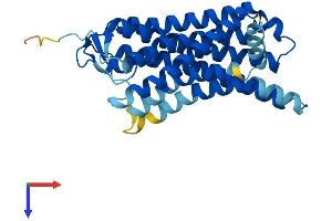 AlphaFold protein structure predicition of Human Recombinant OR5AC1 Protein, UniprotID P0C628 (OR5AC1 Protein (AA 1-307) (His tag))