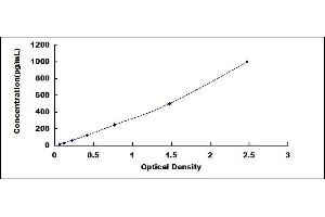 Typical standard curve (NEXN ELISA Kit)