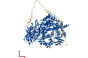 AlphaFold protein structure predicition of Human Recombinant ENPEP Protein, UniprotID Q07075 (ENPEP Protein (AA 1-957) (His tag))