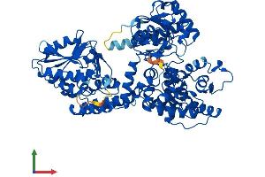AlphaFold protein structure predicition of Human Recombinant EHHADH Protein, UniprotID Q08426 (EHHADH Protein (AA 1-723) (His tag))