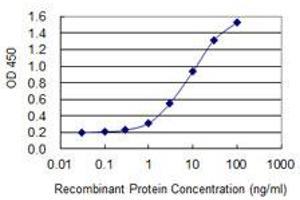 Detection limit for recombinant GST tagged TJP2 is 0. (TJP2 antibody  (AA 121-218))