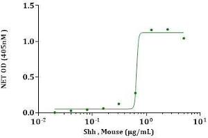 Shh, Mouse induced alkaline phosphatase production in CCL-226 cells. (Sonic Hedgehog Protein (SHH) (AA 25-198, Cys25IleIle-Mutant))