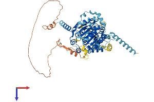AlphaFold protein structure predicition of Mouse Recombinant Ddx52 Protein, UniprotID Q8K301