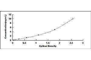Typical standard curve (CALML5 ELISA Kit)