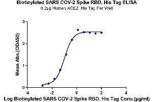 Immobilized Human ACE2, His Tag at 2 μg/mL (100 μL/Well) on the plate. (SARS-CoV-2 Spike Protein (RBD) (His-Avi Tag,Biotin))