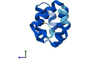 AlphaFold protein structure predicition of Human Recombinant CARD18 Protein, UniprotID P57730 (CARD18 Protein (AA 1-90) (His tag))