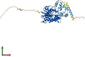 AlphaFold protein structure predicition of Human Recombinant SDR42E2 Protein, UniprotID A6NKP2 (SDR42E2 Protein (AA 1-422) (His tag))
