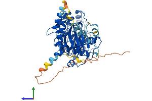 AlphaFold protein structure predicition of Human Recombinant STK32B Protein, UniprotID Q9NY57