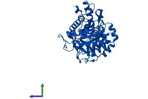 AlphaFold protein structure predicition of Mouse Recombinant Dhodh Protein, UniprotID O35435