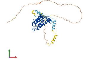 AlphaFold protein structure predicition of Mouse Recombinant Gem Protein, UniprotID P55041 (GEM Protein (AA 1-295) (His tag))