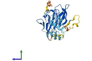AlphaFold protein structure predicition of Mouse Recombinant Neurl2 Protein, UniprotID Q9D0S4