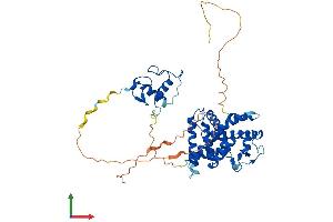 Protein Structure (PS) image for Retinoic Acid Receptor, alpha (RARA) (AA 1-462) protein (His tag) (ABIN7555122)